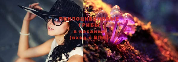 соль ск Балахна