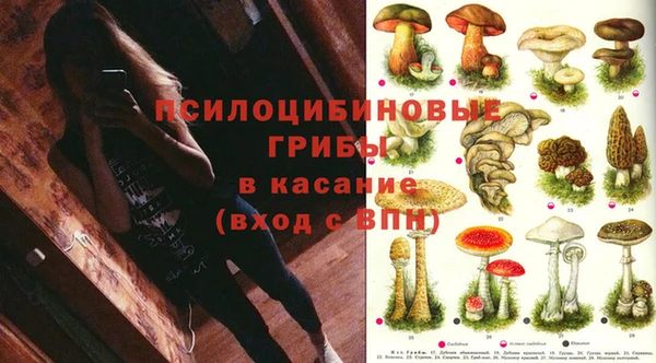 соль ск Балахна