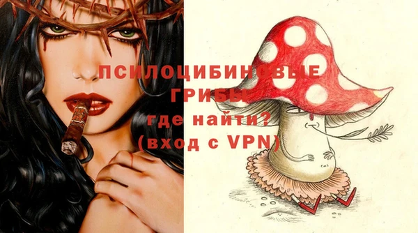 гидра Баксан