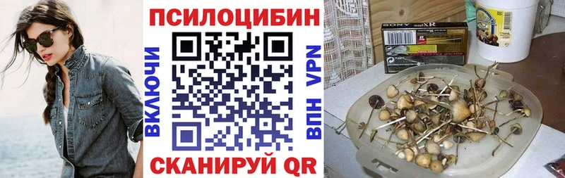закладка Бежецк Галлюциногенные грибы прущие грибы