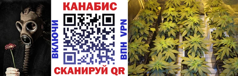 Бошки Шишки семена  Бежецк 